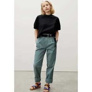 Everlane The Pleated Chino Straight Leg Pant in Balsam Green, 0